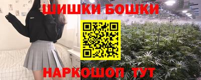 прущие крисы Малгобек