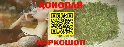 прущие крисы Малгобек